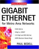 Gigabit Ethernet for Metro Area Networks