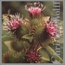 Burdocks