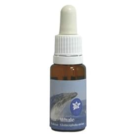 【クリックで詳細表示】クジラ(ホエール)エッセンス 15ml