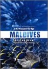virtual trip MALDIVES Divibg View