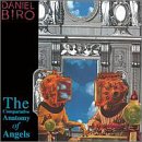 Comparative Anatomy of Angels