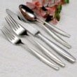 Camlynn, 53pc Service for 8 by Oneida