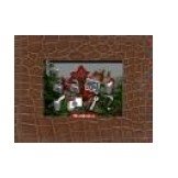 Parrot 3.5-Inch Digital Photo Frame (Brown Salamander)