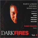 Dark Fires, Vol.2