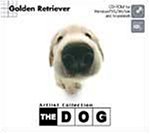 THE DOG～Golden Retriever
