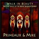 Walk in Beauty