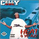 Heat 4 Yo Azz