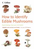 How to Identify Edible Mushrooms