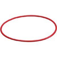 DVD Player: Olympus POL-026 O-Ring f�r PT-026