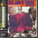 Blues Jam in Chicago V.1