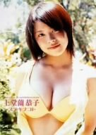�t�@�C�u�X�^�[ �㓰�����q �X�e�L�i�R�g