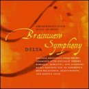 Brainwave Symphony: Delta