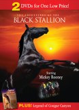 The Adventures of the Black Stallion (1990)/ Legend of Cougar Canyon (The Secret of Navajo Cave) (1976)