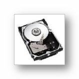 Seagate Cheetah 10K.7 - Hard drive - 73 GB - hot-swap - 3.5" - Ultra320 SCSI - 80 pin Centronics (SCA-2) - 10000 rpm - buffer: 8 MB