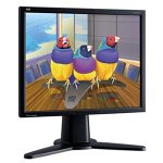 Viewsonic VP191B-H 19" ThinEdge LCD Monitor (Black)