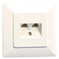 Speicherkarten: Ria-BTR Anschlussdose UAE 2x8(8) UP LSA Anschlussdose Unterputz 2 x RJ45 8P8C reinwei� reinwei� RAL 9010
