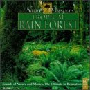 Nature Whispers: Tropical Rainforest