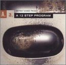 A.A.: A 12 Step Program