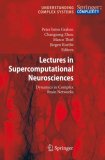Lectures in Supercomputational Neurosciences: Dynamics in Complex Brain Networks (Understanding Complex Systems)