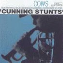 Cunning Stunts