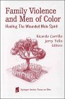 Family Violence and Men of Color: Healing the Wounded Male Spirit (Springer Series: Focus on Men)