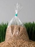 Chemical Free Hard Red Wheat Seed - 25 Lbs - Plant & Grow Wheatgrass, Grind to Make Flour & Bread, Store for Emergency Food Storage - Excellent Germination Rate