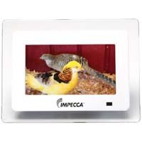 Impecca DFM-760 7 inch 3-in-1 Digital Photo Frame with 16:9 Aspect Ratio, Built in Speakers, Translucent Designer Border, White