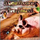 Atardecer Tropical