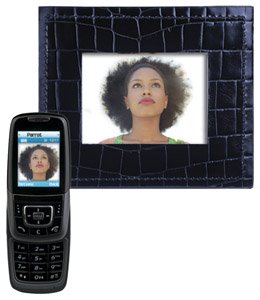 Parrot 40080H Bluetooth Photo Viewer (Black Salamander)