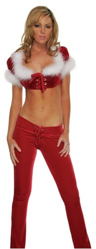 Santa mistress outfit