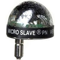 Wein PND Peanut Slave