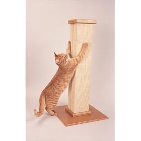Scratching Post