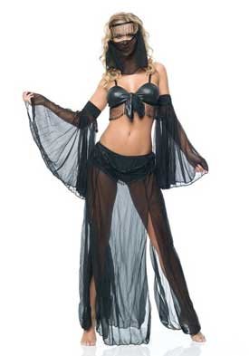 Sexy Halloween Costume Belly Dancer Veil Bra Skirt by Leg avenue
