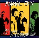 The Ins & Outs of Terrorism!