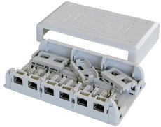 TFT Monitore: Wanddose Ethernet 6x RJ-45 Cat.6 UTP GIGABIT