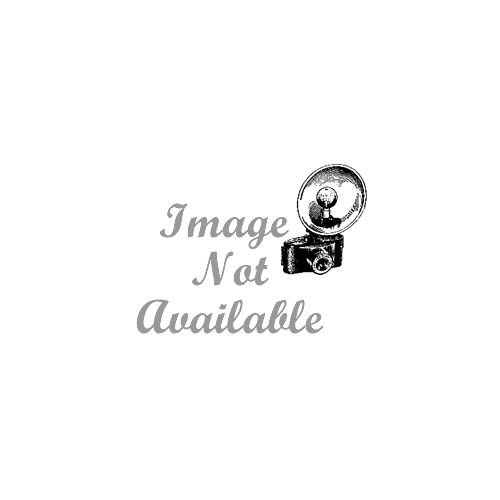Bayco Rough Duty FluorescentSpot Light w50Ft Cord