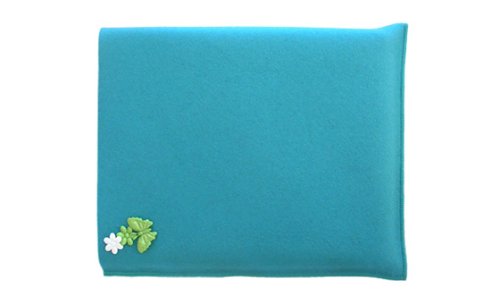 Projektoren: PULL-i FRUEHLING fuer iBook 14 G3/G4