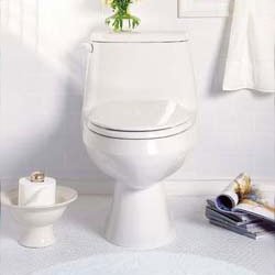 Cadet One-Piece Elongated Toilet - 2100.016
