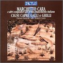 Fortuna Ensemble/Marchetto Cara