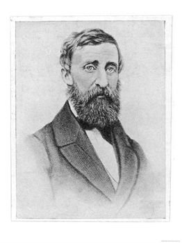 Henry David Thoreau - Giclee Poster Print