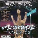 Snake Pit Records Presents 17 Badboy Tracks (featuring: 2Pac, Snoop Dogg, Daz, Jay O-Felony, Kurupt, Nate Dogg, MC Eiht, Spice 1, Dogg Pound)