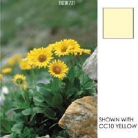 Camcorder: Cokin Yellow CC40C A 727 (gelb)