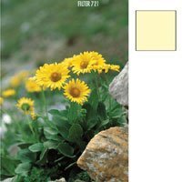 Camcorder: Cokin Yellow CC10C P 721 (gelb)