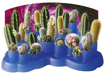 Odd Pods Cactus Kit