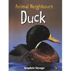 Duck (Animal Neighbours) (Hardcover) 
by Stephen Savage 