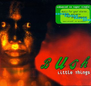 Bush - Little Things (US Import) - Zortam Music