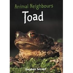 Toad (Animal Neighbours) (Hardcover) 
by Stephen Savage