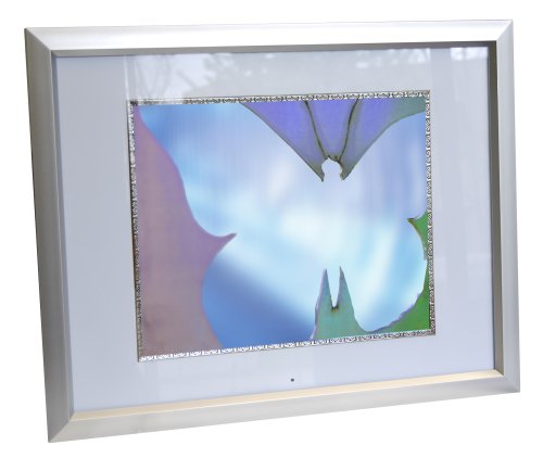 Digital Spectrum MemoryVue 1500 U-30349 15 Digital Picture Frame (Silver)