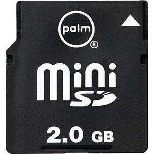 Projektoren: PALM 2GB Mini SD Expansion Card