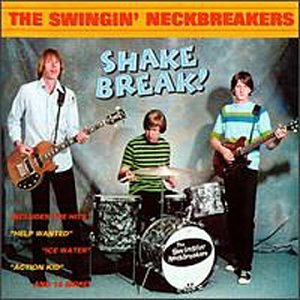 Shake Break!